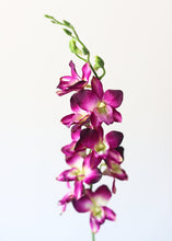 Load image into Gallery viewer, Dendrobium Silk Orchid Spray in Fuchsia Purple - 35.5" Tall
