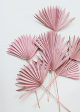 Load image into Gallery viewer, Pack of 5 - Desert Pink Sun Palms
