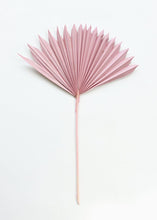 Load image into Gallery viewer, Pack of 5 - Desert Pink Sun Palms
