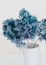 Load image into Gallery viewer, Turquoise Purple  Dried Hydrangea
