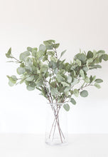 Load image into Gallery viewer, Dusty Grey Fake Silver Dollar Eucalyptus - 36.5" Tall

