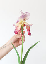 Load image into Gallery viewer, Fuchsia Real Touch Bearded Iris Flower - 32.5"
