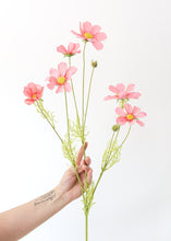 Load image into Gallery viewer, Artificial Cosmos Flowers in Pink - 3-4" Blooms
