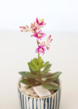 Load image into Gallery viewer, Fake Blooming Succulent Pick with Purple Flowers - 8"
