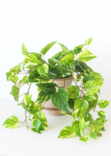 Load image into Gallery viewer, Indoor/Outdoor UV Protected Fake Pothos Plant - 20"
