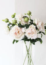 Load image into Gallery viewer, Artificial Peony Flower in Soft Pastel Pink - 30" Tall
