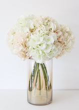 Load image into Gallery viewer, Cream Blush Oversized Artificial Hydrangea - 9" Bloom

