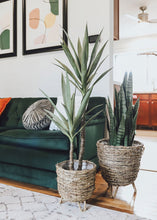 Load image into Gallery viewer, Tropical Fake Plants Yucca Tree in Pot - 44" Tall
