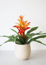 Load image into Gallery viewer, Artificial Indoor/Outdoor Bromeliad Plant in Orange Flame - 21"
