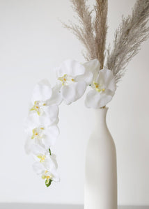 Silk Flower Phalaenopsis Orchids in White - 37" Tall