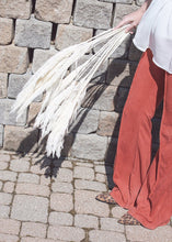 Load image into Gallery viewer, Tall Bleached Plume Reed Grass - 36-40"
