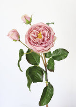 Load image into Gallery viewer, Real Touch Faux English Rose in Lavender Mauve - 22.5" Tall
