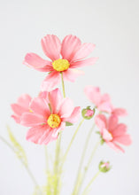 Load image into Gallery viewer, Artificial Cosmos Flowers in Pink - 3-4" Blooms
