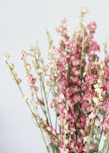 Load image into Gallery viewer, Dried Pink Larkspur
