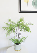 Load image into Gallery viewer, Fake Potted Fern Plant - 26"
