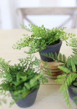 Load image into Gallery viewer, Set of 3 Fake Potted Plastic Fern Plants - 6-8" Tall
