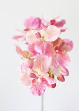Load image into Gallery viewer, Pink Real Touch Vanda Orchid Flowers
