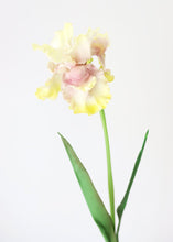 Load image into Gallery viewer, Yellow Real Touch Fake Bearded Iris Flower - 32.5"
