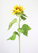 Load image into Gallery viewer, Yellow Real Touch Fake Sunflower - 35"
