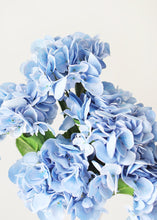 Load image into Gallery viewer, Real Touch Grand Hydrangea in Blue - 22" Tall x 7.5" Bloom
