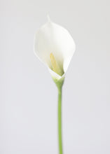 Load image into Gallery viewer, Fake Flowers Foam Calla Lily in White
