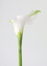 Load image into Gallery viewer, White Foam Calla Lily Fake Flower - 34"
