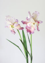 Load image into Gallery viewer, Ombre Purple Real Touch Bearded Iris Flower - 32.5"
