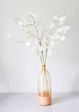Load image into Gallery viewer, Faux Lunaria Silver Dollar - 29"
