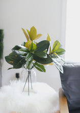 Load image into Gallery viewer, SALE - Artificial Magnolia Leaf Stem - 26" Tall
