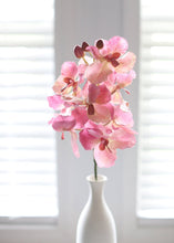 Load image into Gallery viewer, Pink Real Touch Vanda Orchid Flowers
