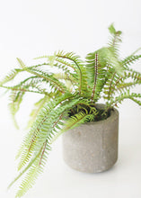 Load image into Gallery viewer, Artificial Fern Plant in Pot - 16" Tall
