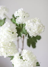 Load image into Gallery viewer, White Artificial Snowball Flowers 3 blooms - 33"
