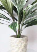 Load image into Gallery viewer, Fake Potted Cordyline Palm Floor House Plant - 40"
