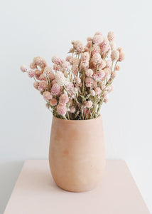 Air Dried Globe Amaranth in Light Pink