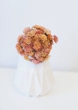 Load image into Gallery viewer, Coral Pink Plastic Sedum Cluster Pick - 8.5" Tall
