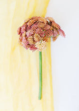Load image into Gallery viewer, Coral Pink Plastic Sedum Cluster Pick - 8.5" Tall

