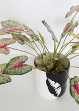 Load image into Gallery viewer, Real Touch Indoor/Outdoor Caladium Tropical Plant
