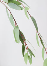 Load image into Gallery viewer, Real Touch Seeded Eucalyptus Weeping Branch - 52" Long
