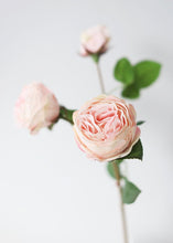 Load image into Gallery viewer, Natural Touch Artificial Roses in Blush - 21" Tall
