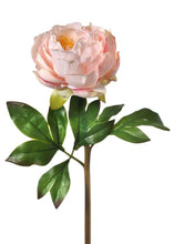 Load image into Gallery viewer, Blush Peach Real Touch Artificial Peony - 22" Tall
