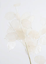 Load image into Gallery viewer, Plastic Lunaria Spray - 27"
