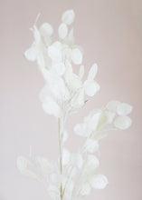 Load image into Gallery viewer, Artificial Lunaria Silver Dollar Coastal Flower Branch - 40"
