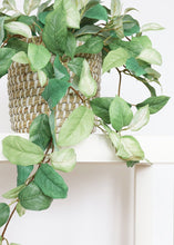 Load image into Gallery viewer, Artificial Hanging Hoya Leaf Bush
