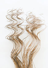 Load image into Gallery viewer, Natural Curly Ting

