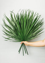 Load image into Gallery viewer, Pack of 3 - Natural Preserved Palm Leaves 30" x 17"
