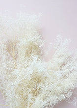 Load image into Gallery viewer, Bleached Stardust Gypsophila
