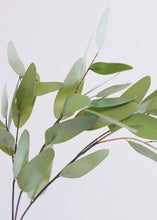 Load image into Gallery viewer, Faux Eucalyptus Branch - 31" Tall
