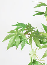 Load image into Gallery viewer, Fake Cannabis Marijuana Leaves - 40.5"
