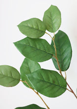 Load image into Gallery viewer, Artificial Salal Leaf Spray - 30" Tall
