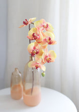 Load image into Gallery viewer, Yellow Pink Real Touch Phalaenopsis Orchid - 33.5"
